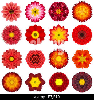 Große Sammlung von verschiedenen roten konzentrische Muster Blumen. Kaleidoskopische Mandala-Muster, Isolated on White Background. Concentri Stockfoto