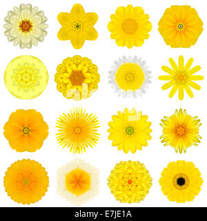 Große Sammlung von verschiedenen gelben konzentrische Muster Blumen. Kaleidoskopische Mandala-Muster, Isolated on White Background. Konzen Stockfoto