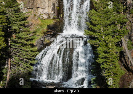 Undine fällt, Yellowstone Nationalpark, Wyoming, USA, USA, Amerika, Wasserfall, Stockfoto