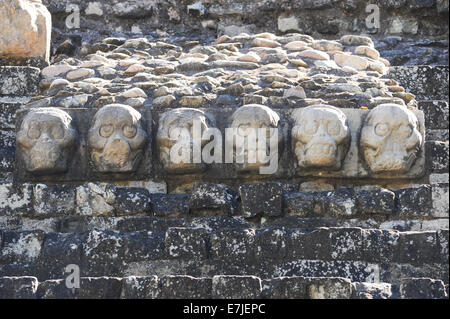 Akropolis, Mittelamerika, Amerika, antike, Archäologie, Architektur, Gebäude, erbaut, geschnitzt, Copan, Kultur, Exterieur, Gott Stockfoto