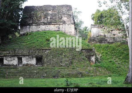 Guatemala, Mittelamerika, Petén, Akropolis, Amerika, antike, Archäologie, Architektur, Gebäude, Central, City, Civilisatio Stockfoto