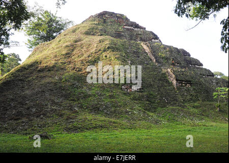 Guatemala, Mittelamerika, Petén, Akropolis, Amerika, antike, Archäologie, Architektur, Gebäude, Central, City, Civilisatio Stockfoto