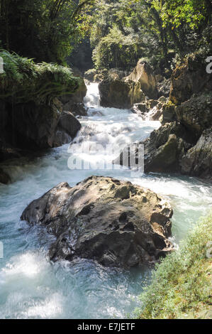 Guatemala, Mittelamerika, Semuc Champey, Alta Verapaz, Cahabon, außen, Außenbereich, Herbst, Wasserfälle, Wald, umso, Standorte, Stockfoto