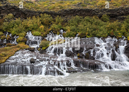 Barnafoss, Klippe, Herbst, Stimmung, Hraunfossar, Hvita, Island, Europa, Kaskade, Kind Wasserfall, Schlucht, Schutzbereich, Wasser, wa Stockfoto