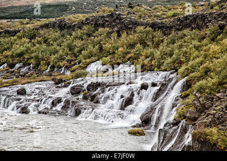 Barnafoss, Klippe, Herbst, Stimmung, Hraunfossar, Hvita, Island, Europa, Kaskade, Kind Wasserfall, Schlucht, Schutzbereich, Wasser, wa Stockfoto