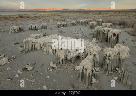 USA, USA, Amerika, Kalifornien, Tuffstein, Mono Lake, Sand Tufas, Eastern Sierra, Landschaft, Natur, keine Menschen, hohe Wüste Stockfoto