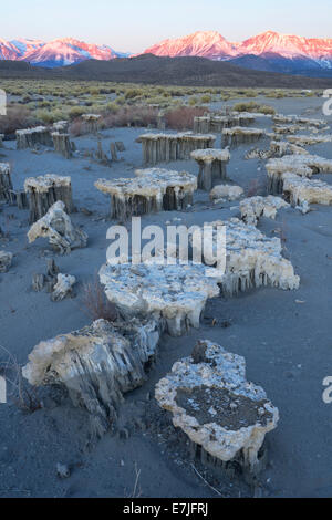 USA, USA, Amerika, Kalifornien, Tuffstein, Mono Lake, Sand Tufas, Eastern Sierra, Erosion, Landschaft, Natur, Sierra Nevada, Stockfoto