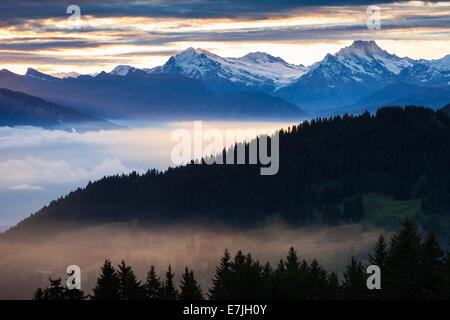 Blick vom Gurnigel, Schweiz, Europa, Kanton Bern, Berner Oberland, Gurnigel, Gantrisch Gebiet Natur Reservat, Gantrisch, Mo Stockfoto