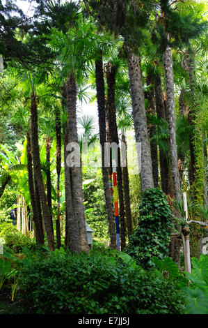 André Hellers Botanischen Garten von Gardone Rivera am Gardasee, Italien Stockfoto