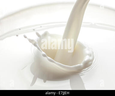 Gießen Milch Spritzen isoliert auf weißem Hintergrund Stockfoto