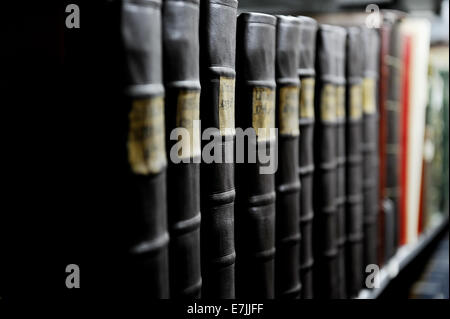 Detail mit alten Büchern auf einem Regal in einem Archivraum Stockfoto