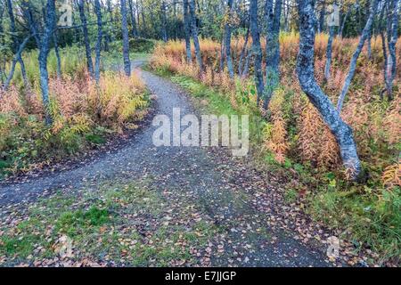 Foodpath im Herbst Stockfoto