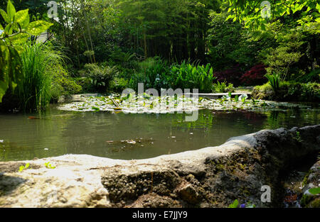 André Hellers Botanischen Garten von Gardone Rivera am Gardasee, Italien Stockfoto