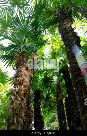 André Hellers Botanischen Garten von Gardone Rivera am Gardasee, Italien Stockfoto