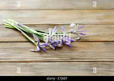 Blumen auf braunem Boards, Seitenansicht Stockfoto