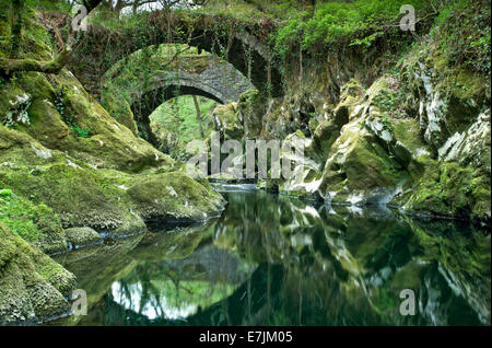 Packesel römische Brücke über den Fluss Machno, Penmachno, North Wales, UK Stockfoto