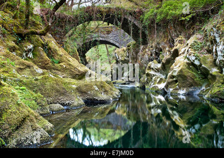 Packesel römische Brücke über den Fluss Machno, Penmachno, North Wales, UK Stockfoto