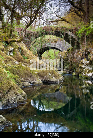 Packesel römische Brücke über den Fluss Machno, Penmachno, North Wales, UK Stockfoto