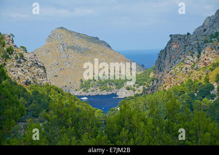 Straße nach Sa Calobra Canyon. Mallorca, Balearen. Spanien. Stockfoto