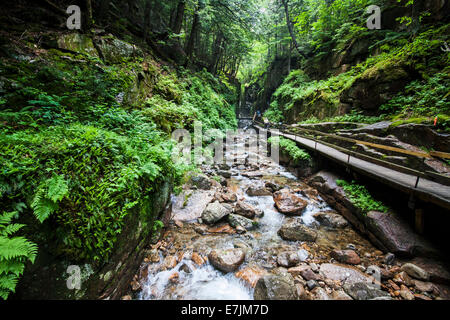 Flume Gorge Newhampshire. Flume Gorge, Lincoln, New Hampshire, Franconia Notch State Park Stockfoto