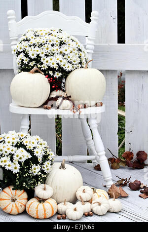 Schöne weiße Kürbisse und Mütter, die im Herbst auf einem alten Vintage Stuhl auf einer Veranda sitzen. Stockfoto