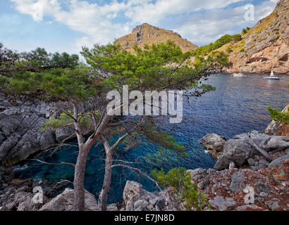 Serra de Tramuntana - Bergkette auf Mallorca, Balearen, Spanien Stockfoto