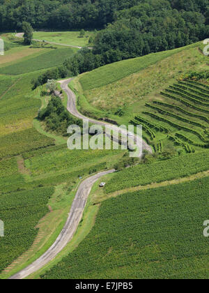 Typische Juralandschaft Region mit Weinbergen in der Nähe von Chateau-Chalon in Frankreich Stockfoto