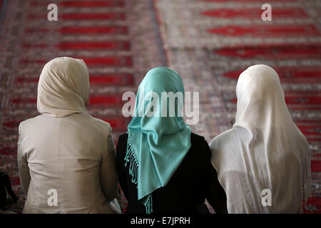 Köln, Deutschland. 19. Sep, 2014. Islamische Frauen beten in einer Moschee in Köln, Deutschland, 19. September 2014. Muslime in Deutschland mobilisiert für Kundgebungen gegen Antisemitismus und Terrorismus im Namen des Islam auf eine Nation weit Tag der Aktion. Foto: Oliver Berg/Dpa/Alamy Live News Stockfoto