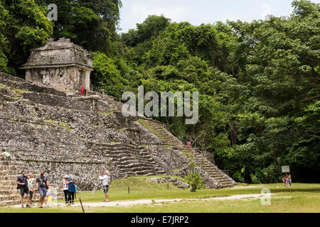 Templo de Las Inscripciones Gruppe, Ruinen von Palenque, Palenque, Chiapas, Mexiko Stockfoto