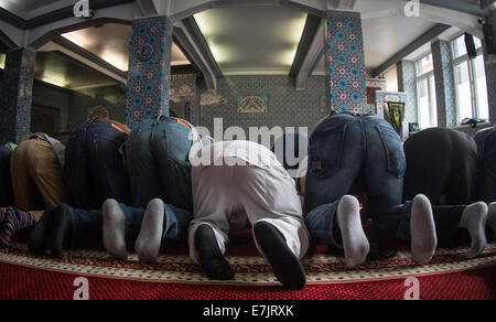 Berlin, Deutschland. 19. Sep, 2014. Muslime beten in der Centrum-Moschee in Hamburg, Deutschland, 19. September 2014. Muslime in Deutschland mobilisiert für einen bundesweiten Aktionstag gegen Hass, Rassismus und Relgious Fanatismus. Bildnachweis: Dpa picture Alliance/Alamy Live News Stockfoto