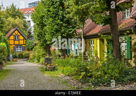 Alte Fachwerkhäuser am St. Johanniskloster in Stralsund, Mecklenburg-Western Pomerania, Deutschland. Stockfoto