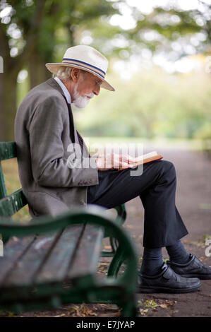 ältere Mann liest ein Buch auf einer Parkbank Stockfoto