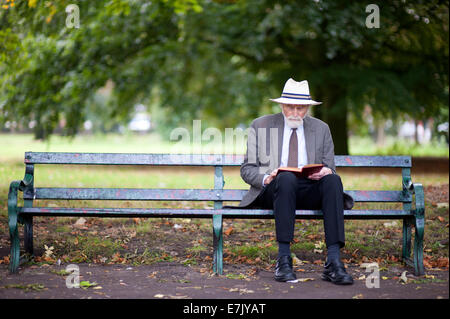ältere Mann liest ein Buch auf einer Parkbank Stockfoto