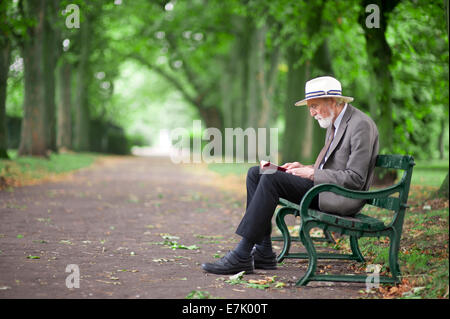 ältere Mann liest ein Buch auf einer Parkbank Stockfoto