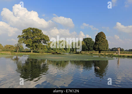 Bushy Park, SW-London, England, UK. 19. September 2014. Eine ruhige Szene an einem sonnigen Nachmittag am Teich Heron in Bushy Park. Bildnachweis: Julia Gavin UK/Alamy Live-Nachrichten Stockfoto