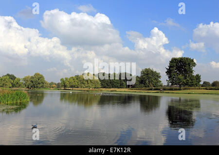 Bushy Park, SW-London, England, UK. 19. September 2014. Eine ruhige Szene an einem sonnigen Nachmittag am Teich Heron in Bushy Park. Bildnachweis: Julia Gavin UK/Alamy Live-Nachrichten Stockfoto