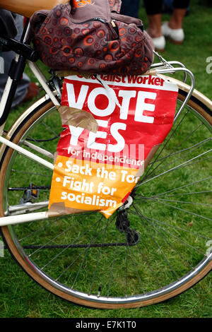 George Square, Glasgow, Schottland, Großbritannien, Freitag, 19. September 2014. Am Tag nachdem Schottland im Unabhängigkeitsreferendum abgestimmt hatte, versammeln sich Ja-Unterstützer auf dem George Square im Stadtzentrum von Glasgow. Stockfoto