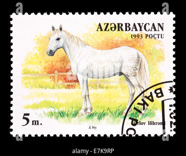 Briefmarke aus Aserbaidschan, die Darstellung eines Pferdes Orlov. Stockfoto