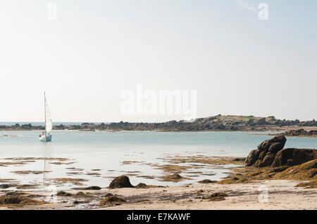 Boot, Segeln in der Bucht unterhalb der Fort de Matignon bei Ebbe an Grand-Île, Chausey Inseln, Basse-Normandie, Frankreich Stockfoto