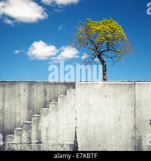 Weiße Betonwand mit Treppe und kleiner Baum über dem blauen Himmel Stockfoto