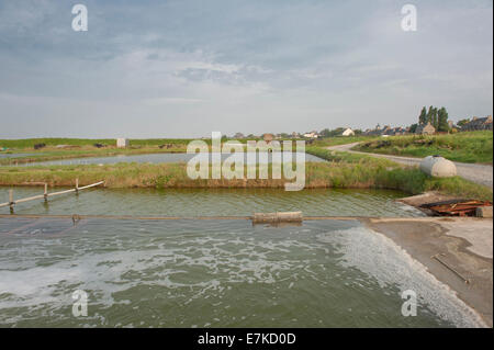 Bewässerung Becken für Austern in der Nähe von Vivier-Sur-Mer, Bretagne, Frankreich Stockfoto