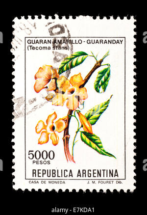 Briefmarke aus Argentinien zeigt eine gelbe Trumpetbush Blume (Tecoma Stans) Stockfoto