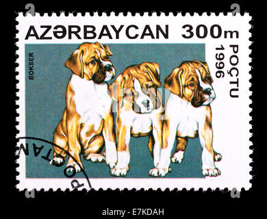 Briefmarke aus Aserbaidschan Darstellung Boxer Welpen. Stockfoto