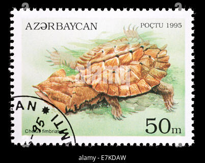 Briefmarke aus Aserbaidschan, die Darstellung einer Matamata Schildkröte (Chelus Fimbriatus) Stockfoto