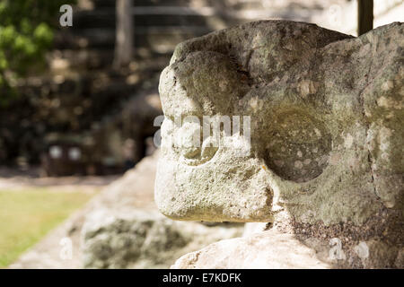 Copan Ruinas archäologischer Park, Copán, Honduras Stockfoto