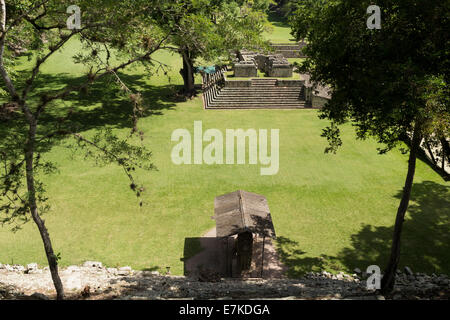 Die große Plaza, Copan Ruinas archäologischer Park, Copán, Honduras Stockfoto