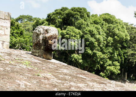 Der Ballspielplatz, die zweitgrößte in Mittelamerika, Copan Ruinas archäologischen Park, Copán, Honduras gefunden werden Stockfoto