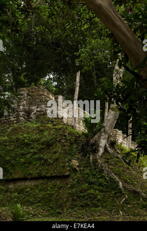 Mundo Perdido, Tikal Nationalpark El Petén, Guatemala Stockfoto