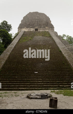 Tempel IV, der höchste Tempel im Tikal National Park, El Petén, Guatemala Stockfoto