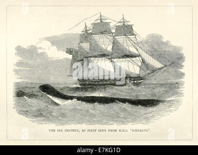 Die große Seeschlange von HMS Daedalus 1848 als erstes zu sehen. Siehe Beschreibung für mehr Informationen. Stockfoto